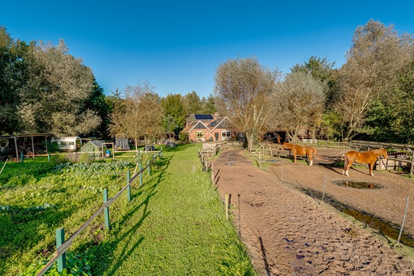 Medium property photo - Peppelmansdijk 12, 7011 JL Gaanderen